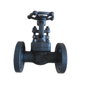 A105 PN25 Gate Flange End 800# Socket Welded F304 Forged Steel Gate for Gas Water Oil Pipe - Product Image 2