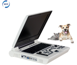 의료용 휴대형 12인치 <span class=keywords><strong>HD</strong></span> 수의학 컬러 진단 시스템 스캐너 자동 초음파 기기 (프로브 포함) - Product Image 2