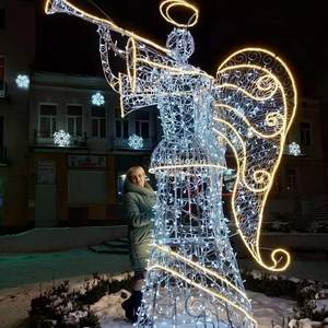 Lámpara LED 3D Impermeable para Exteriores, Decoración Navideña, IP65, Personalizable, para Paisajes - Product Image 1