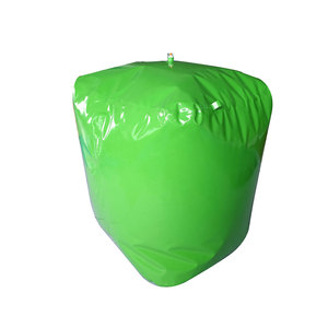 Borsa da Biogas in fabbrica, - Product Image 2