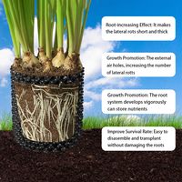 Op maat gemaakte grote plastic plantenbakken voor buiten, met luchtsnoei-systeem, voor gebruik in moestuin en fruittuin.