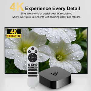 Box TV <span class=keywords><strong>Android</strong></span> Topleo, Decoder Satellitare Smart TV Box Stp H313 <span class=keywords><strong>Android</strong></span> 14 per Streaming OTT - Product Image 5