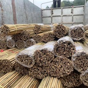 Postes de bambú natural de buen precio Postes de bambú tratados de 3m de Vietnam para enrejado de jardín y soporte de cultivos del proveedor de fábrica - Product Image 5