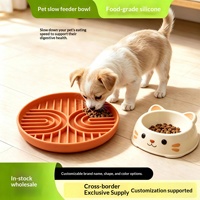 Bol anti-glouton pour chien en silicone platine de qualité alimentaire, pliable et portable, avec ventouse, pour usage intérieur/extérieur, en stock, vente en gros