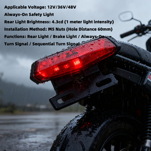 Luz Trasera Secuencial <span class=keywords><strong>Personalizada</strong></span> AFTFA para Bicicleta Eléctrica con Señal de Giro y Advertencia para Matrícula, Venta al por Mayor - Product Image 6