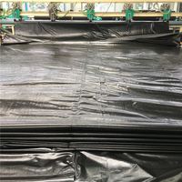 Bâche en polyéthylène sur mesure en rouleau, imperméable, pour impression, tailles 2M, 4M, 6M, 8M, en PE/PP, vente en gros