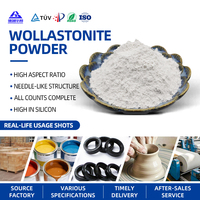 Poudre de Wollastonite 325 Mesh, Remplissage Minéral à Rapport d'Aspect Élevé pour Plastiques Techniques et Céramiques