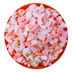 1KG Primavera Sakura Pétala Polymer Clay Mix Polvilhe Para Slime Artesanato DIY