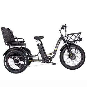 Pneu large 24 "48V 1000W 21AH 50 KM/H OEM personnalisé etricycle CE 3 roues siège passager etrike rickshaw tricycle électrique pour adultes