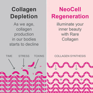 BASE Kollagen peptid Vitamin C Glutathion Nicotinamid Beauty Supplement Pulver für Haarwuchs Nagel wachstum Haut - Product Image 4