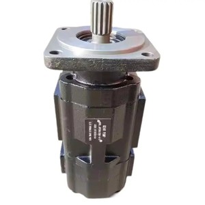 Parker 7029120077 JCB 333/G5390 333G5390 7029122021 Bomba hidráulica de engranajes 7029111248 Kw - Product Image 4