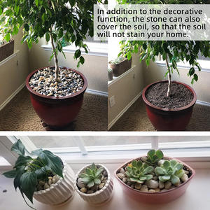 Penjualan terlaris batu kerikil poles untuk lansekap batu kerikil cuci alami batu sungai untuk akuarium atau taman - Product Image 5