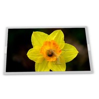 LVDS 1280*800 LCD-Anzeigepanel GV121WXM-N80 12,1 Zoll TFT LCD-Bildschirm