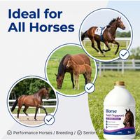 Suplemen Cair Vitamin-Besi-Mineral OEM Horse Health Red Cell 1 Galon Mendukung Daya Tahan, Kesehatan Darah, dan Fungsi Imun
