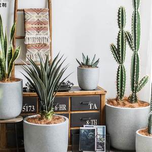 Chất lượng cao <span class=keywords><strong>handmade</strong></span> Chậu Xi Măng vườn trồng bê tông cho trang trí nội thất giá từ đáng tin cậy Nhà cung cấp - Product Image 4