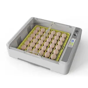 WONEGG inkubator penetas telur YZ-36, ukuran kecil dengan nampan telur fleksibel untuk penggunaan di rumah