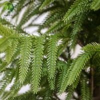 Pommier artificiel en pot, faux bonsaï réaliste pour la décoration de la maison et du bureau, matériau PE durable, sans entretien, pin à feuilles persistantes