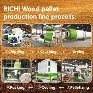 קו ייצור אוטומטי של כדורי עץ RICHI 1-10 טון, קו ייצור כדורי ביומסה בהתאמה אישית מעץ אקליפטוס ועץ אורן - Product Image 2