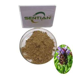 식물 추출물 이소 도니스 Japonicus 추출물 분말/Selfheal 추출물 - Product Image 1