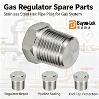 Raccord de valve forgé poli à filetage mâle hexagonal, bouchon de tuyau en acier inoxydable 304/316L, embout de tuyau à tête hexagonale, pièce de rechange pour régulateur de gaz