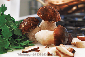 เครื่องฉีดเมล็ดเห็ด Shiitake แบบมืออาชีพเครื่องฉีดไข่ของเหลวอุปกรณ์ปลูกเห็ด - Product Image 6