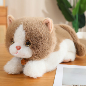 Sevimli Unisex kedi PP pamuk dolum ile peluş oyuncak rahat simüle kedi bebek tembel oturma duruş çocuklar için - Product Image 2