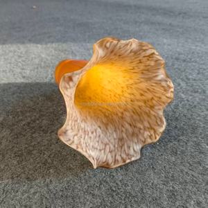 Abat-jour en verre soufflé à la bouche de couleur ambre, fait main, en forme de lys de bassin, pour lampes de table, lampes sur pied et couvercles de luminaires - Product Image 5