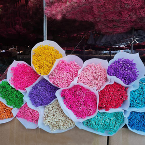 Venta al por Mayor <span class=keywords><strong>de</strong></span> Gypsophila Natural Seca, 120g/Bolsa, 400g/Bolsa, Ramo <span class=keywords><strong>de</strong></span> Flores <span class=keywords><strong>de</strong></span> Gypsophila para Centros <span class=keywords><strong>de</strong></span> Mesa <span class=keywords><strong>de</strong></span> Boda - Product Image 1