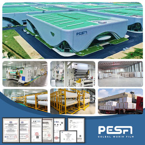 PESAFILM TPU <span class=keywords><strong>Lyon</strong></span> Vert Non Jaunissant Revêtement Auto-Cicatrisant 7.5mil Film TPU PPF pour <span class=keywords><strong>Voiture</strong></span> Film de Protection de Peinture Automobile - Product Image 6