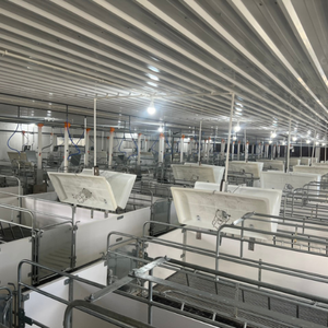 Jaulas de Parto para Cerdos, Limpieza y Ventilación, Jaulas de Parto para Cerdos L2400 X W1800 de Acero Inoxidable en Vietnam, Gran Venta - Product Image 2