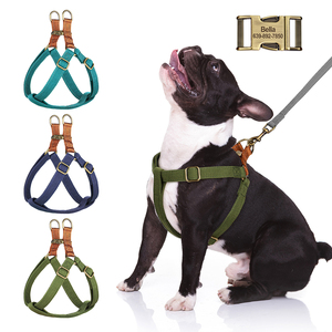Pettorina per Cani Stile Vintage Senza Strappi, Colore Personalizzabile, Nylon Simil-Cotone, Fibbia in Lega Incisa, Regolabile per Cani Piccoli e Medi - Product Image 1