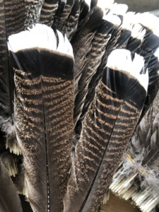 Ailes de dinde sauvage teintées fantaisie avec motif rayé naturel pour accessoires de coiffure, décoration intérieure et artisanat - Product Image 4