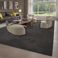 Tapis écologiques Dsemer Colour pour salon, tapis de grande taille pour salle à manger, tapis sur mesure