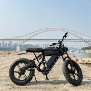 Vélo de ville à pneus larges avec batterie longue portée 48V, phare intégré sans balais, éclairage LED 7 vitesses, stock d'entrepôt, 750W - Product Image 1
