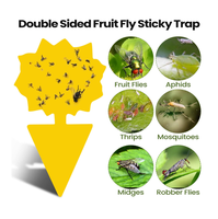 Collant Fly Catcher Plantes d'intérieur Champignon Moucheron Piège Jaune Collant Pièges pour Plantes Moucherons