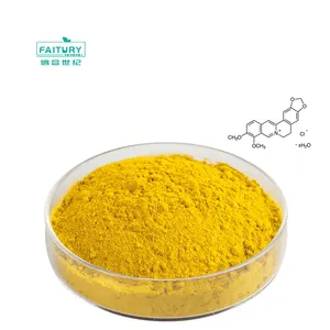 Factory Supply Coptis Chinensis Extract Hollygreen Barberry Extract 97% Berberine Hydrochloride