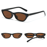 Lunettes de soleil pour femmes DL Glasses Small Frame Cat Eye