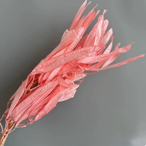 Nuevas y creativas flores secas preservadas <span class=keywords><strong>de</strong></span> lujo en varios colores rosa, hojas <span class=keywords><strong>de</strong></span> hierba y joyas ornamentales para decoración <span class=keywords><strong>de</strong></span> bodas - Product Image 6
