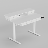 Bureau électrique moderne PRORIALS à moteur unique, réglable en hauteur, pour la maison, le bureau, le gaming, avec tiroirs industriels faciles à nettoyer, table d'étude en métal