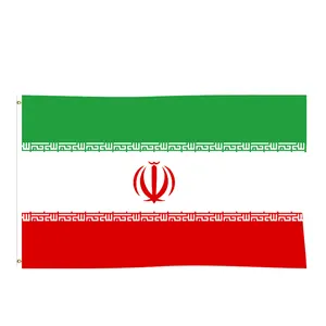 2023 신제품 하이 퀄리티 사용자 정의 크기 캠페인 승화 이란의 역사적인 사자 깃발 3x5ft 오래 된 사자와 태양의 깃발 이란의
