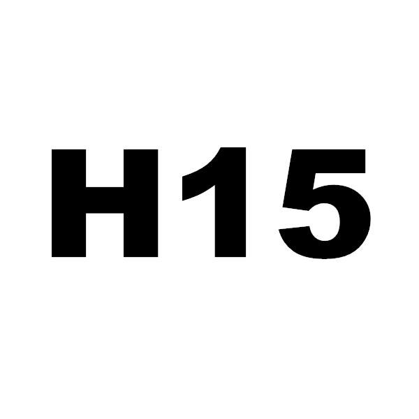 H15
