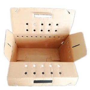 Ingrosso trasportino cane gatto domestico scatole di cartone ondulato ventilato con disegno della maniglia tagliata