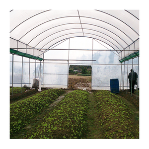 Invernaderos Agrícolas de Bajo Costo, Multi-Túnel, Multi-Span, con Estructura Metálica y Plástico Tropical para Cultivo de Plantas - Product Image 5