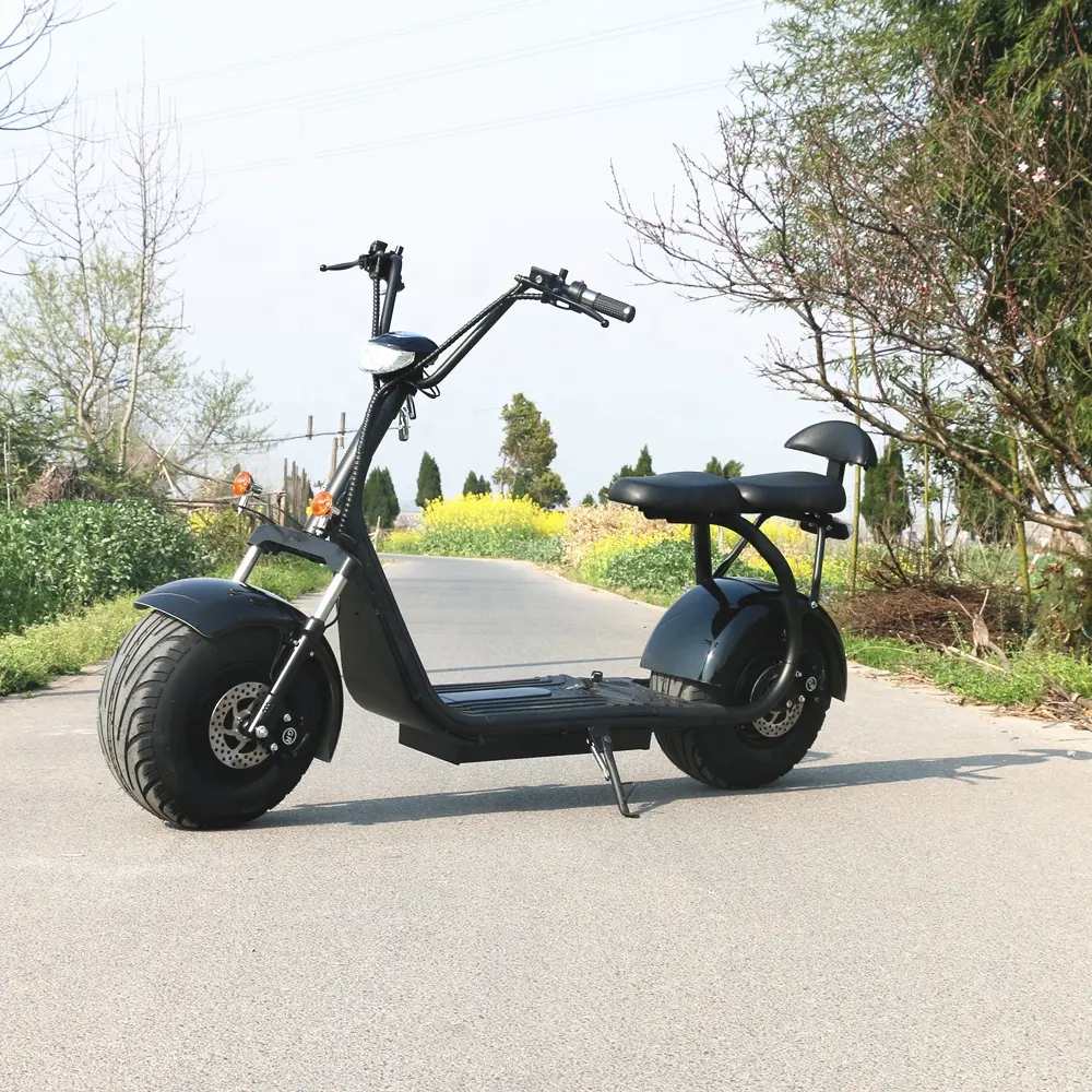 1500w 2000w fat tire citycoco 3000w electric motor bike/moto eletrica/scuter electric