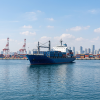 Service de logistique DDP Israël, livraison porte-à-porte, dédouanement professionnel, taxes payées, transitaire aérien + express spécial