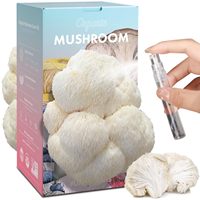 Kit de culture de champignons Crinière de lion de 4 lb, kit de culture intérieur double face, idéal pour le jardinage et comme cadeau de fêtes
