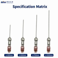 Chongqing BSYB High Pressure Industrial Thermocouple C WRe 0-2300C 20MPa Temperature Sensor Customizable Probe Length 1 Year