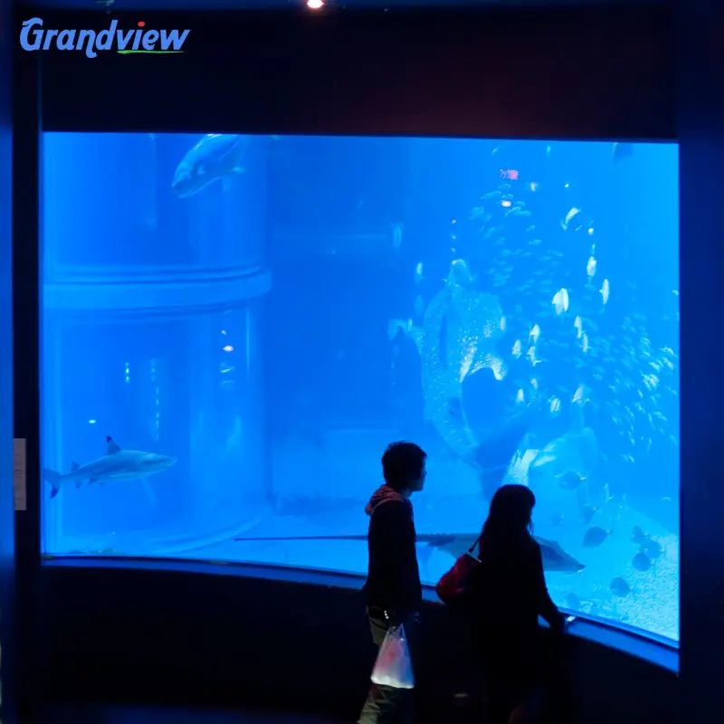 Grandview ha personalizzato la grande finestra curva trasparente dell'acquario, plexiglass curvo acrilico il pannello del serbatoio di pesce