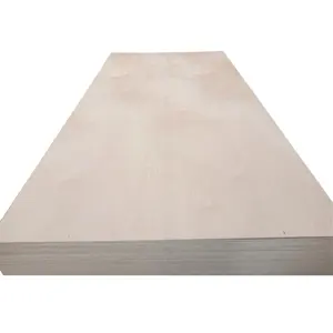 Madeira de pássaro branco revestido, resina fenólica 1220x2440 4.5mm 9mm externa