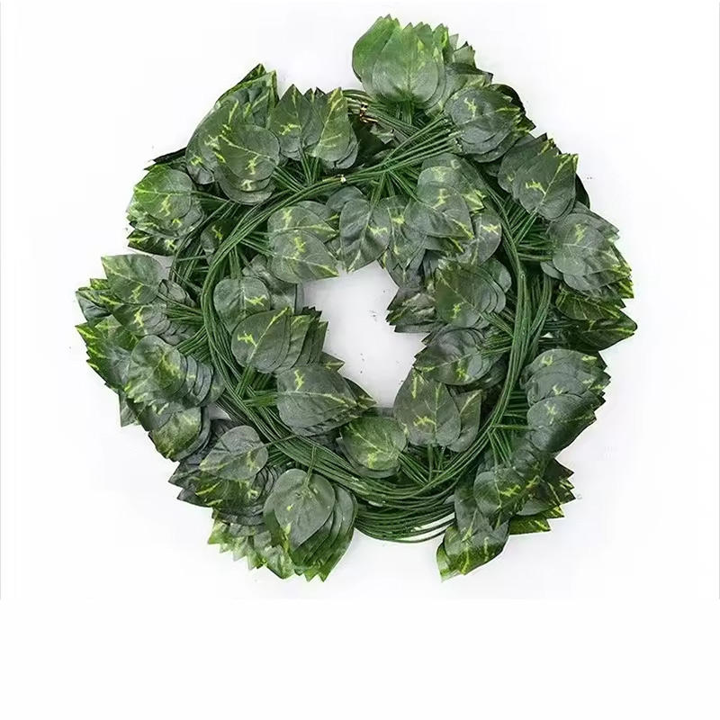 Feuilles de radis vert - vert